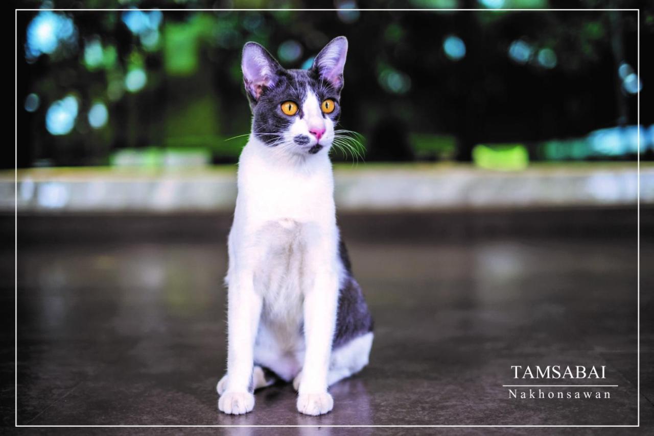 Tamsabai Hotel Nakhon Sawan Buitenkant foto